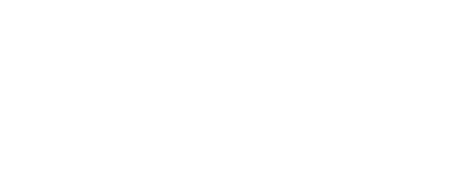 N.I.F.G. — National Investment Funding Group
